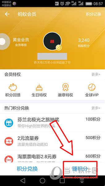 支付宝蚂蚁积分：获取方法与实用攻略 1