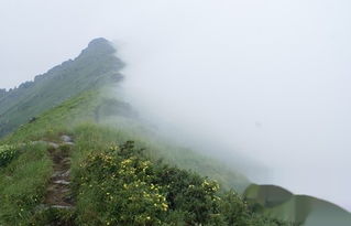 小五台山旅游攻略怎么制定？ 3