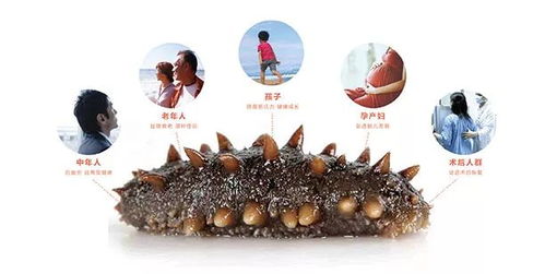 如何泡发干海参 1