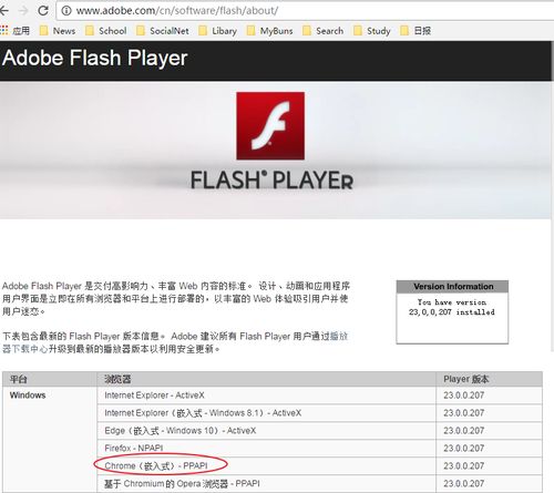 Chrome中Adobe Flash Player过期？这里有解决办法！ 3