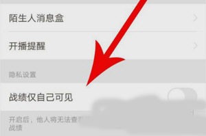 王者助手营地 截图5