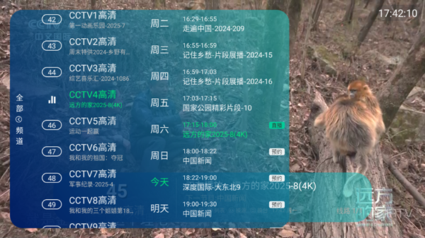 萍萍TV纯净版 截图2