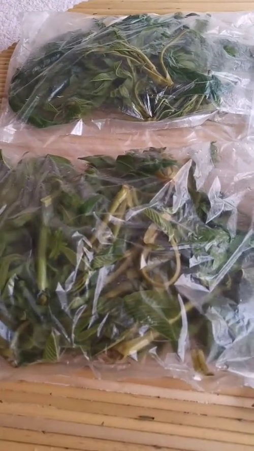 香椿芽保鲜储存全攻略，轻松锁住鲜美味！ 2