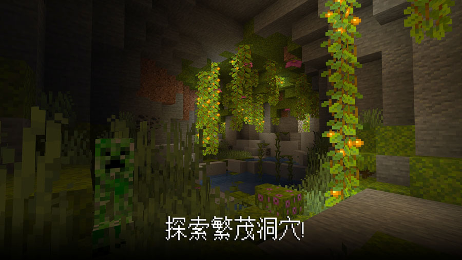 Minecraft我的世界基岩版正版 1