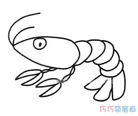 轻松学会！dxdll手绘大虾详细步骤 5