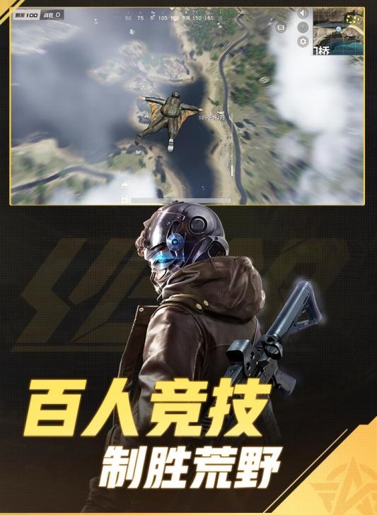 喷杀飞虫 截图2