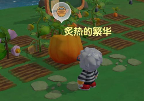 摩尔庄园：揭秘太空大南瓜的神奇用法 2