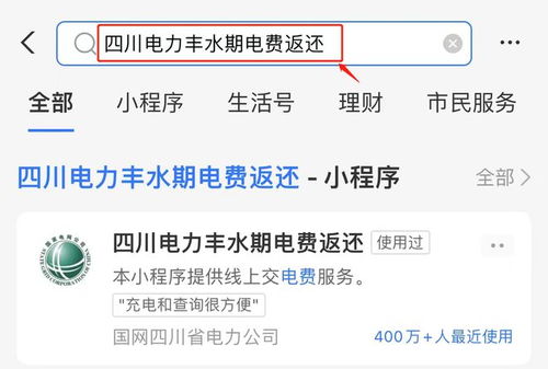 成都丰水期电费返还攻略：轻松了解返还方式 2