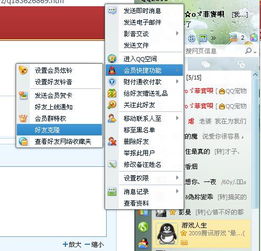 怎样将QQ好友克隆到另一个QQ账号？ 2