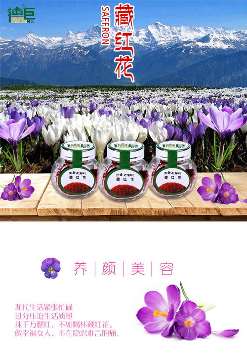 揭秘西藏珍稀特产：觅阳参的神奇魅力 2