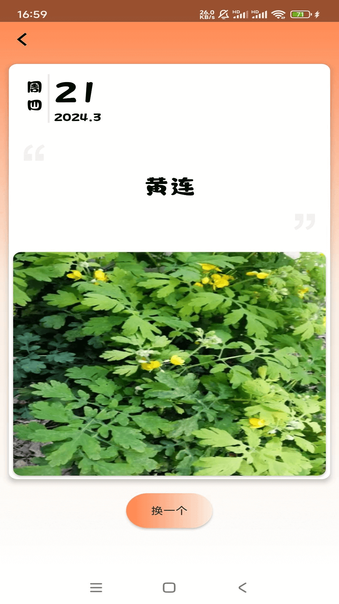 草药速识app 截图2