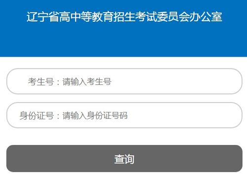 轻松学会：在辽宁招生考试之窗查询成绩步骤全解析 3