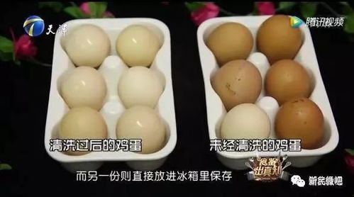 鸡蛋购回后：清洗必要性与正确保存方法 3