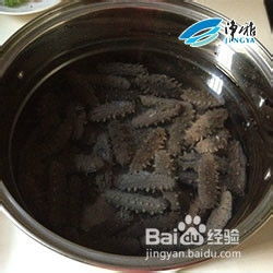如何泡发干海参 3