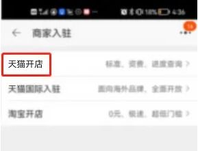 天猫开店申请全攻略：轻松开启电商之旅 1