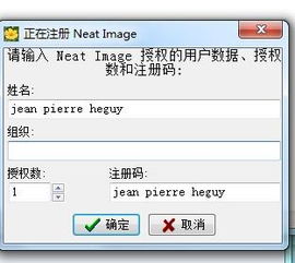 掌握Neat Image Pro：专业图像降噪技巧全攻略 2