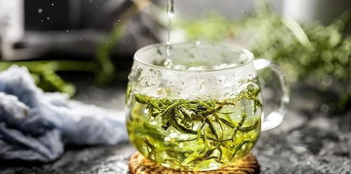 绿茶冲泡指南 1