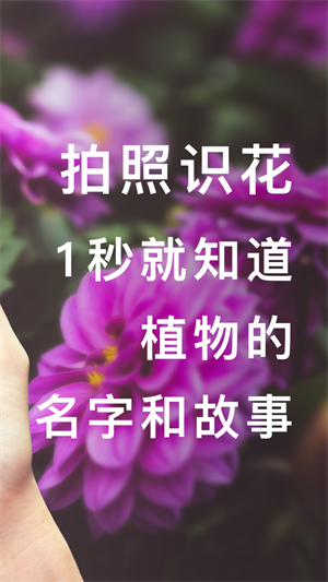 形色识花免费 截图2