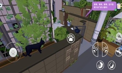 大城小猫游戏 截图5