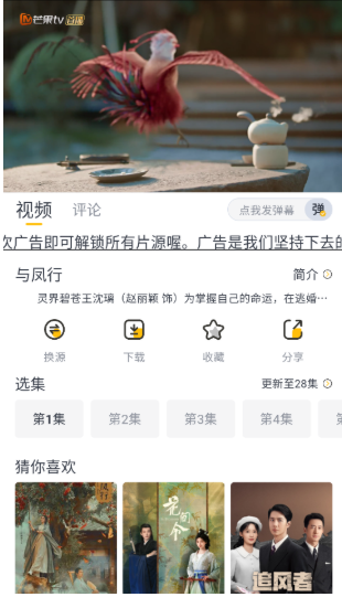 飞马影视纯净版 截图5