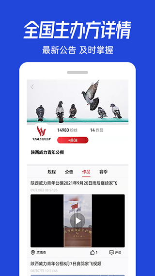 青鸽网 1