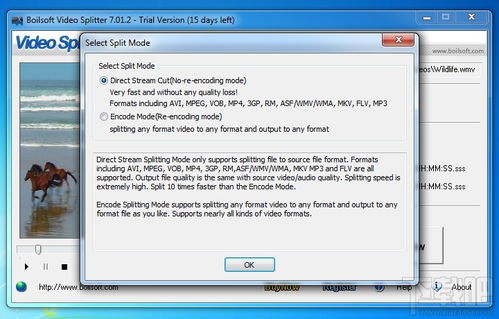 掌握Boilsoft Video Splitter：轻松实现高效视频分割 3
