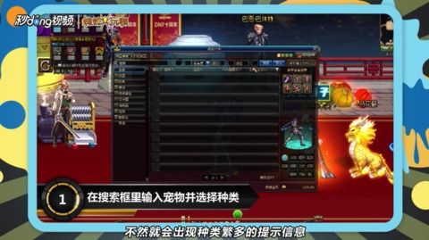 DNF玩家必看：如何在拍卖行高效搜索宠物宝珠？ 4