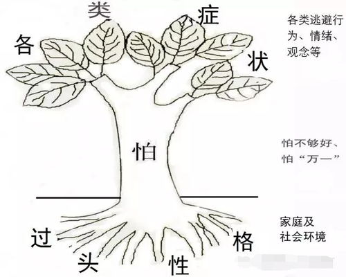 如何进行心理疏导，有哪些有效方法？ 2