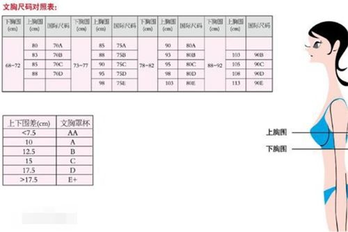 胸围38，你究竟对应哪个尺码？一测便知！ 4