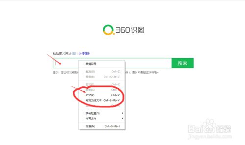 探索图像奥秘：'以图搜图'——解锁网络图片源头的超级利器 2