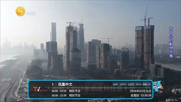 低调TV最新版 截图2
