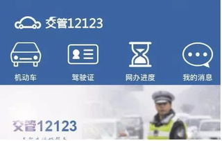 交管12123快速查询车主联系方式的方法 2