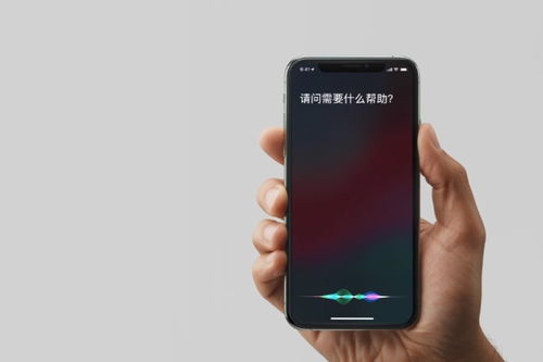 如何唤醒苹果13的Siri 1