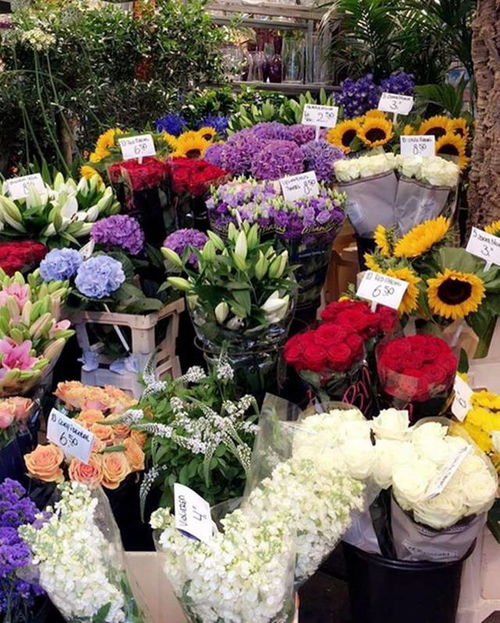 花店购花指南：轻松挑选心仪花卉 2