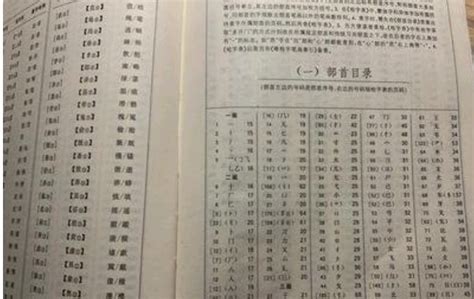 如何理解并运用部首查字法？ 3