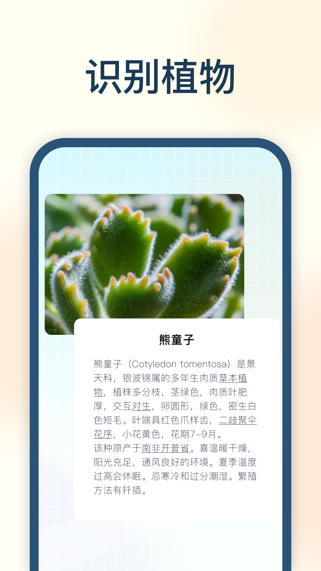 试卷星app 截图2