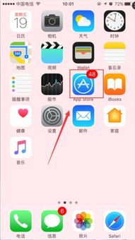 2018年iPhone上安装微信分身版的步骤 4