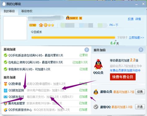 QQ快速升级指南：加速方法与技巧 3