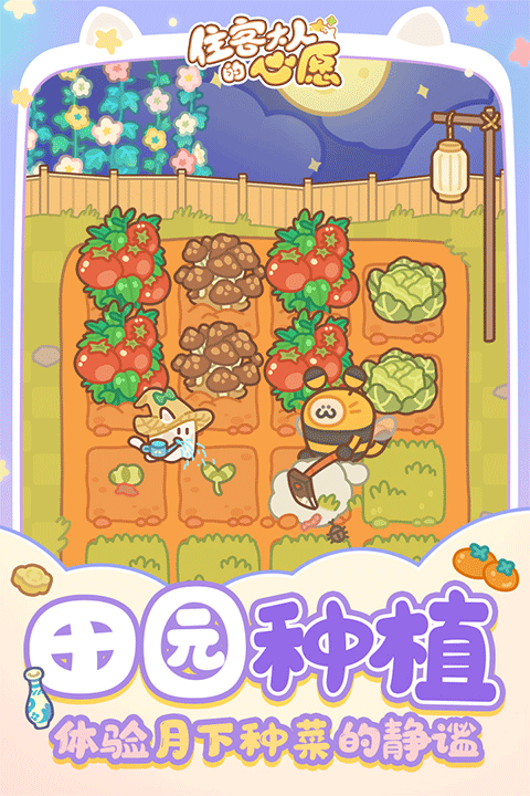 住客大人的心愿旧版 截图3