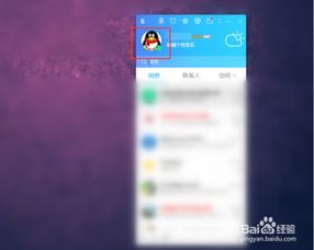 揭秘！如何在QQ空间查看谁特别关心了你 1