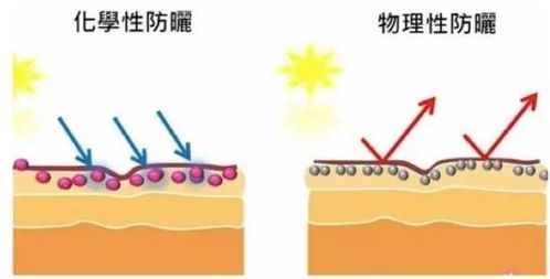 隔离和防晒的正确使用顺序是什么？ 2