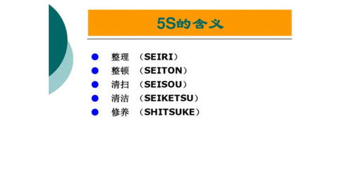 揭秘'5S'精髓：具体内容及其深层含义全解析 4