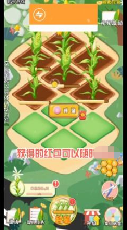 丰收大麦田红包版 1