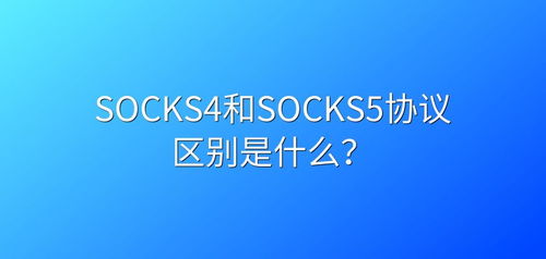 揭秘'Socks'的深层含义：从日常必需品到网络世界的隐形英雄 3