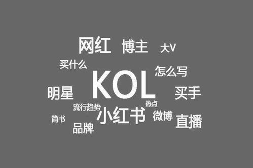 KOL定义及含义详解 2