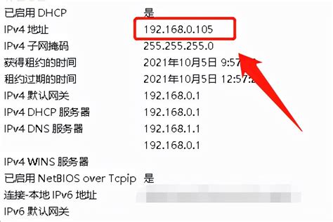 迅速获取个人电脑IP地址的方法 5