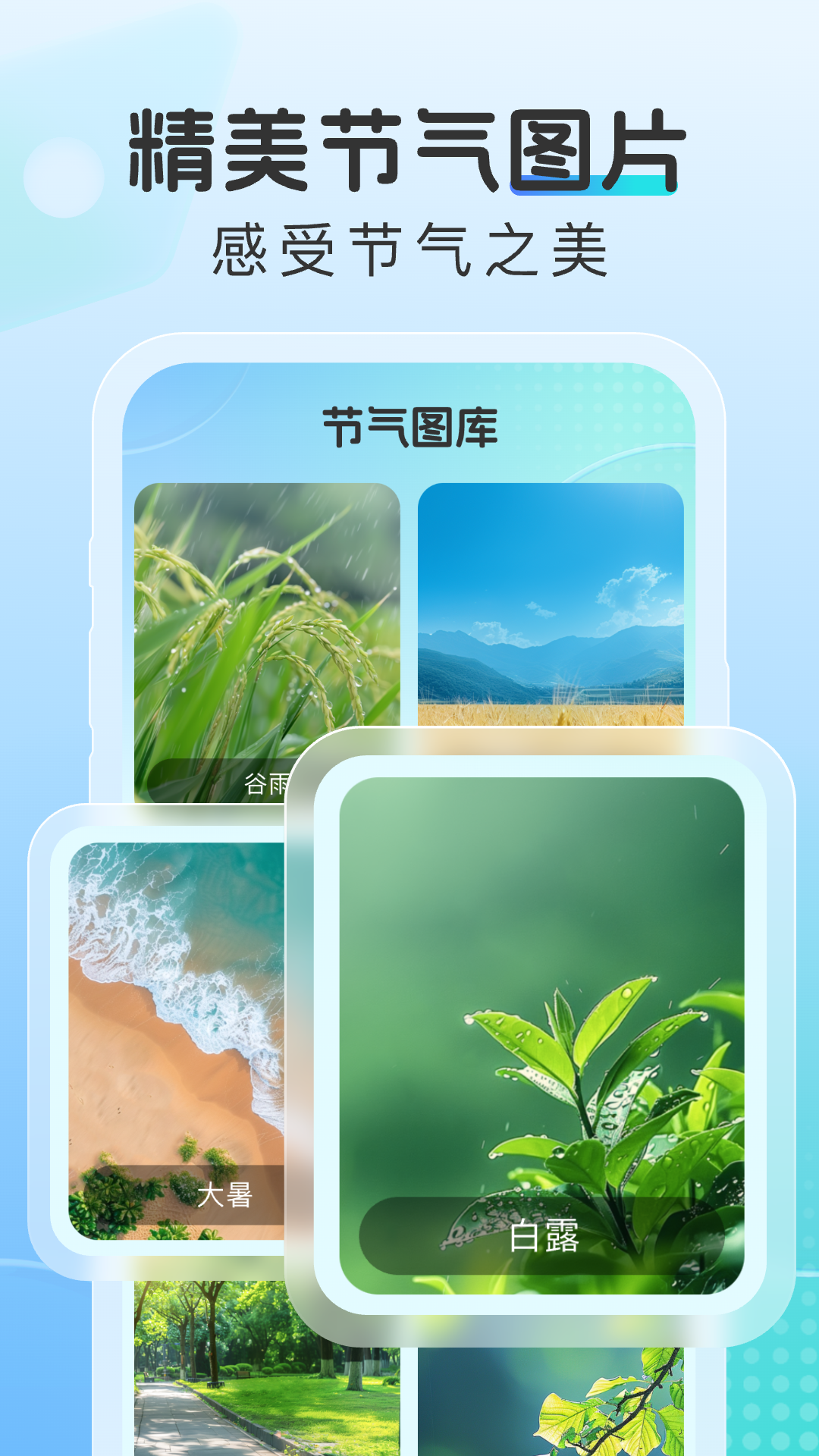 晴云指南app 截图1