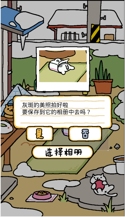 猫咪后院中文版 截图3