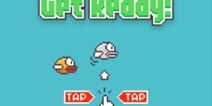 Flappy Bird高手秘籍：解锁高分技巧大揭秘 1