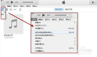 掌握新版iTunes同步铃声的简易方法 3